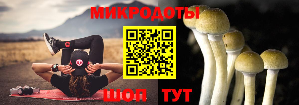 Псилоцибиновые грибы Psilocybe  Вход с VPN  наркота  Сыктывкар  Псилоцибиновые грибы Cubensis 